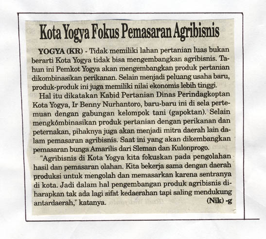 Kliping jogja terbaru