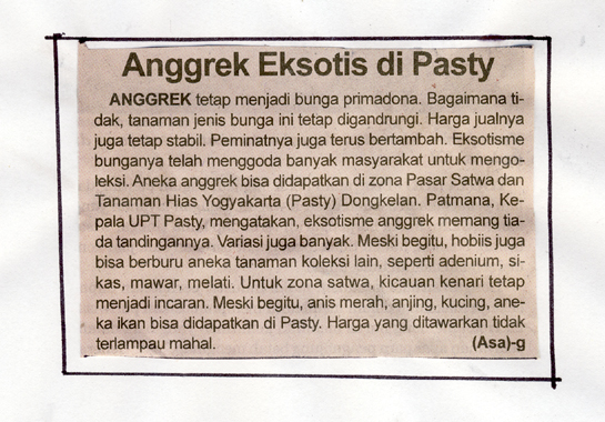 Kliping jogja terbaru