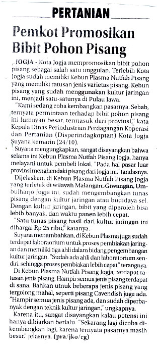 Kliping jogja terbaru