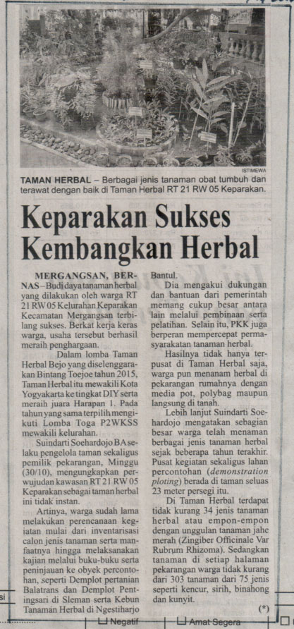 Kliping jogja terbaru