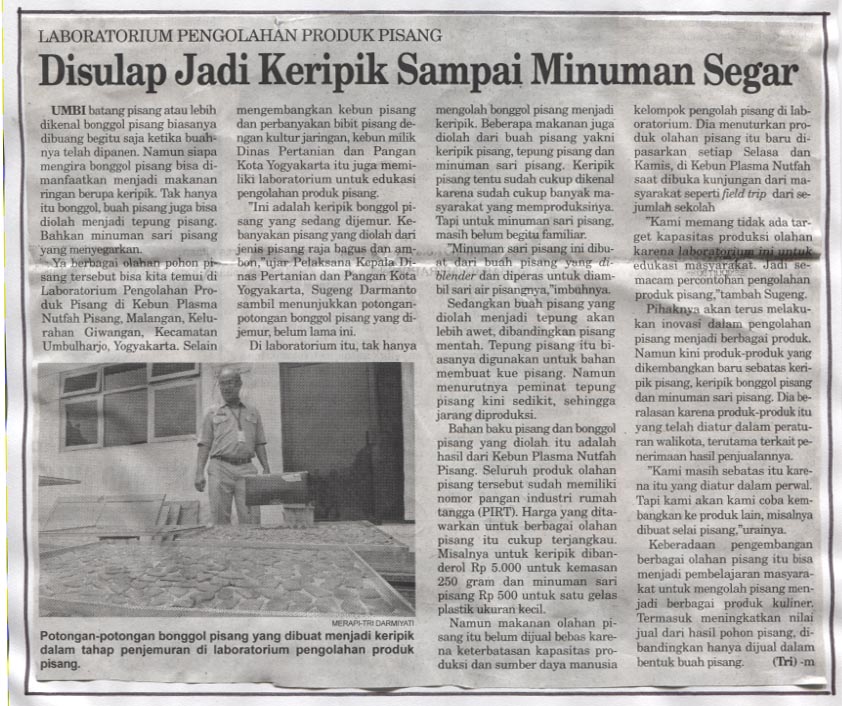 Kliping jogja terbaru
