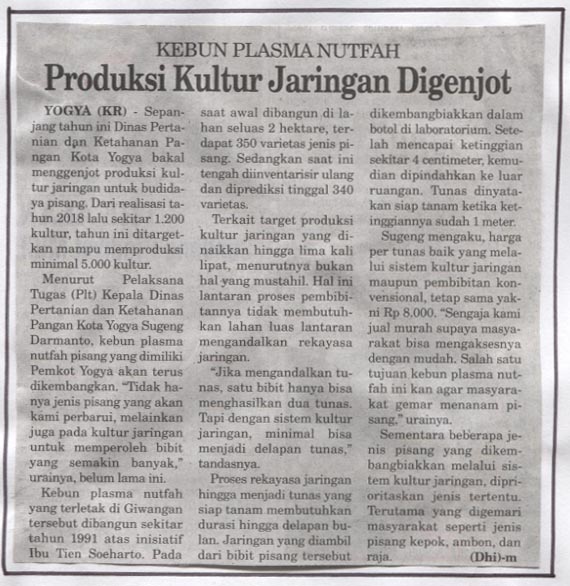 Kliping jogja terbaru