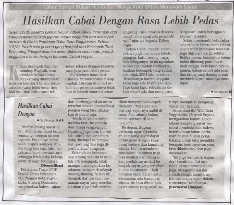 Kliping jogja terbaru