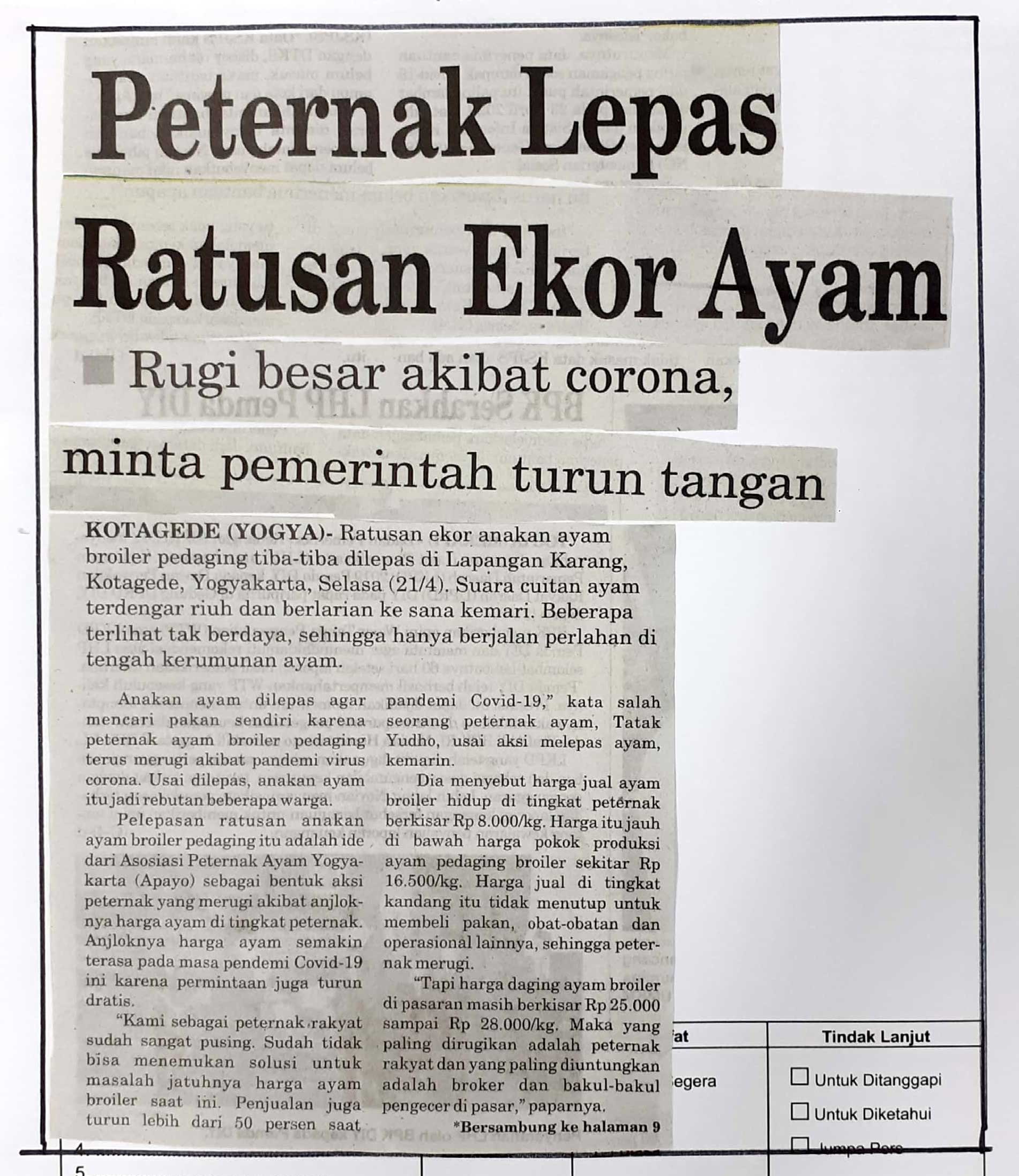 Kliping jogja terbaru