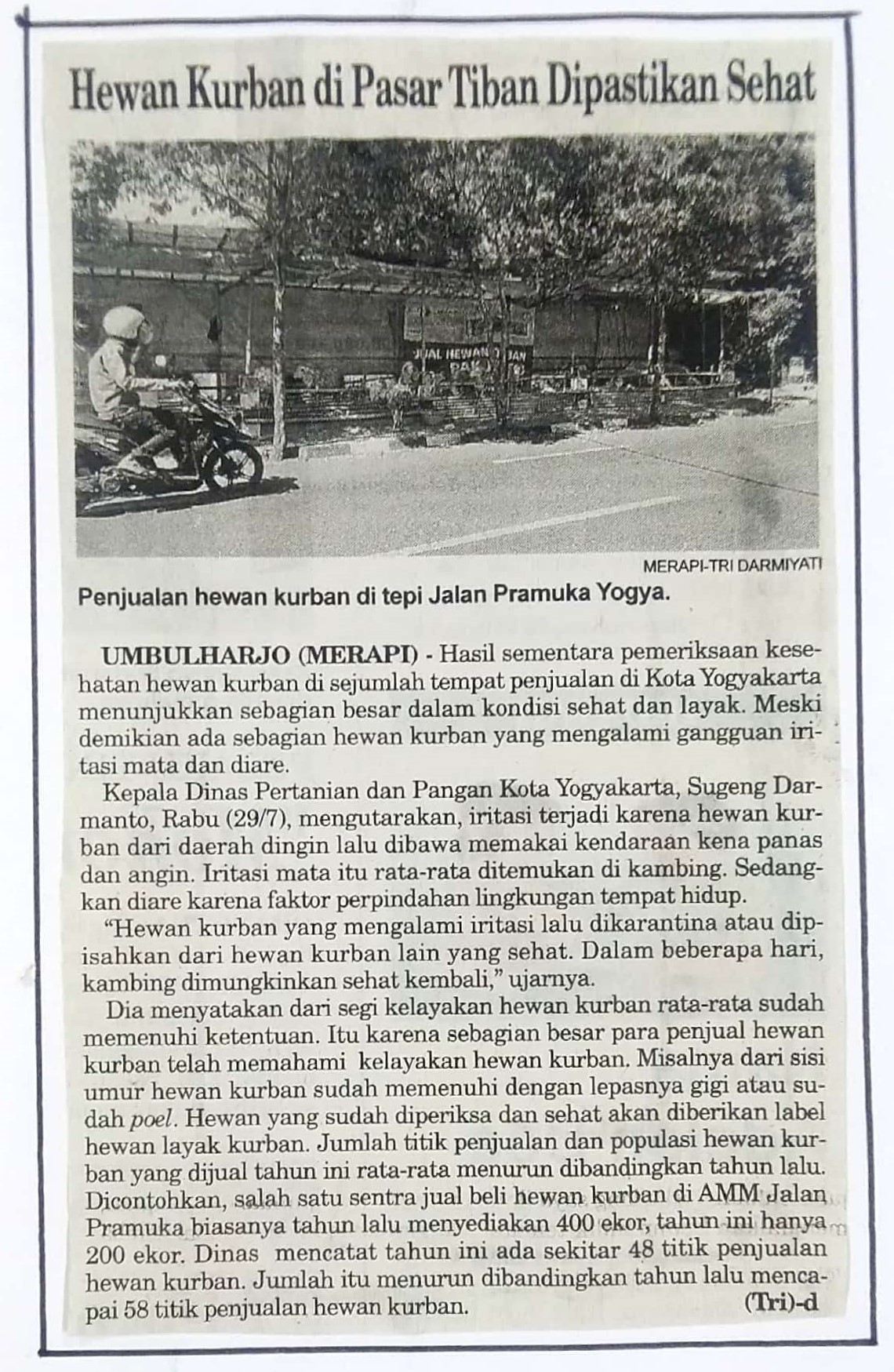 Kliping jogja terbaru