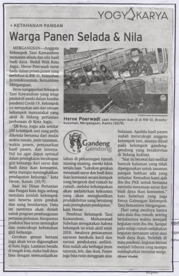 Kliping jogja terbaru
