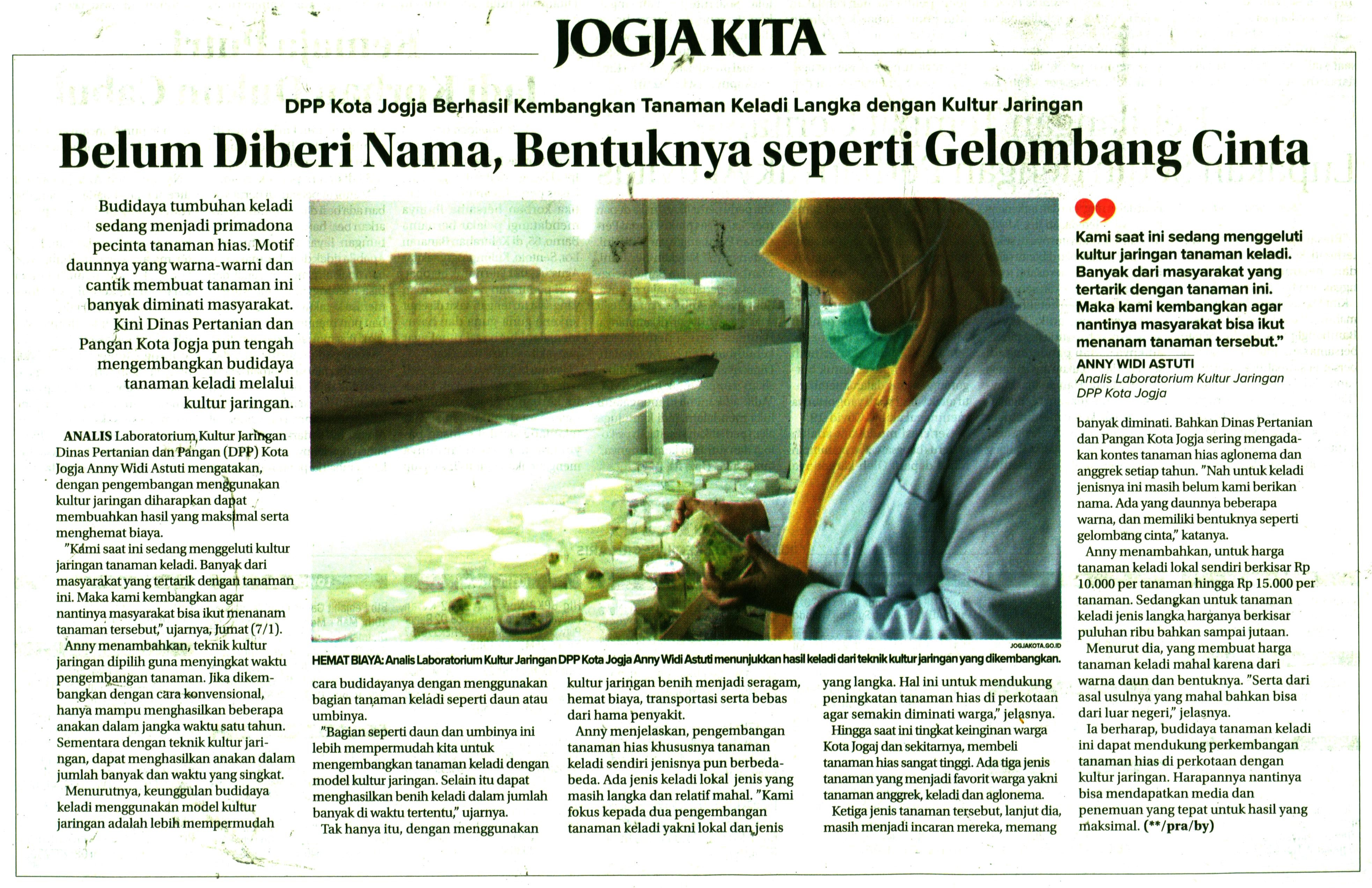 Kliping jogja terbaru