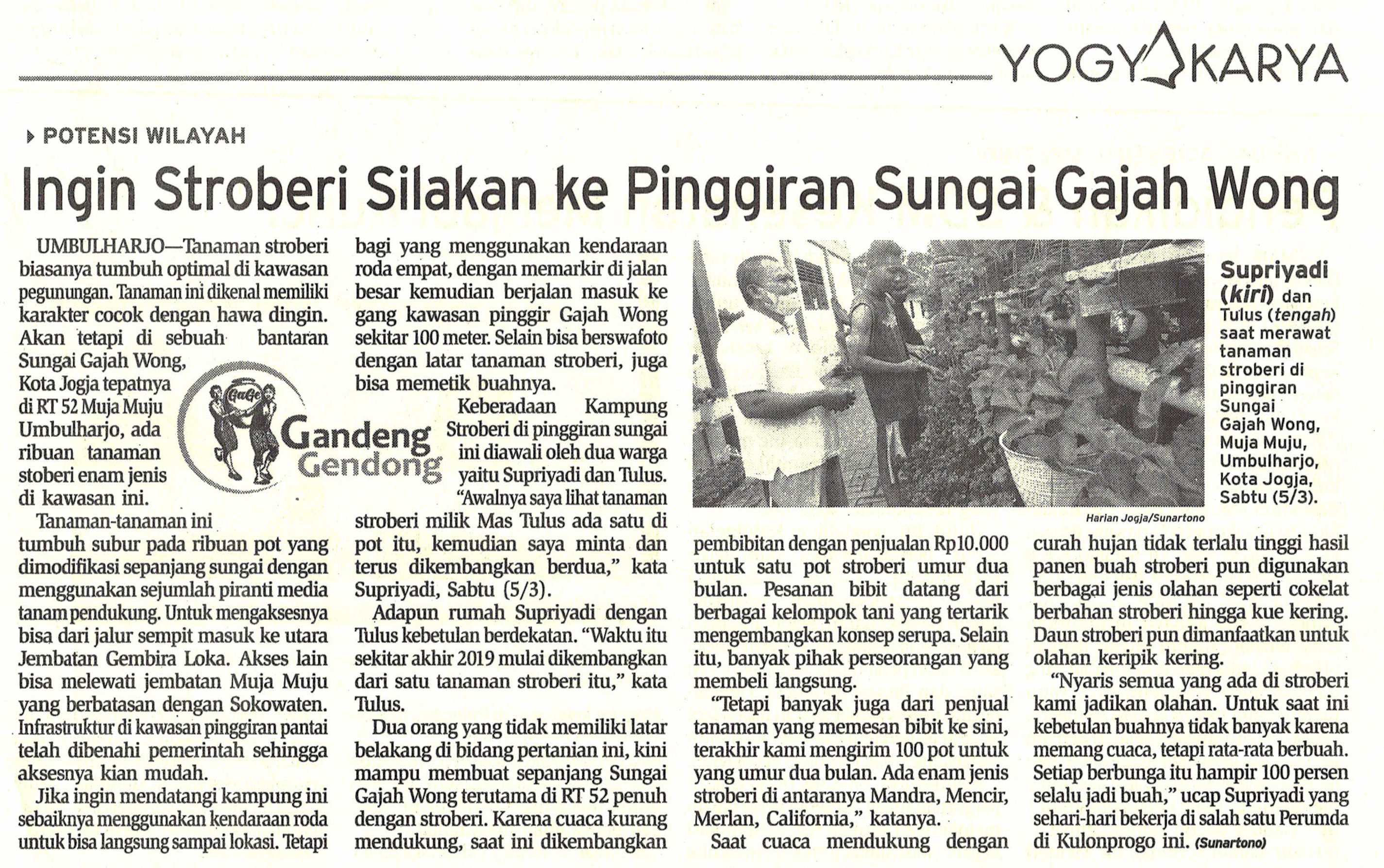 Kliping jogja terbaru