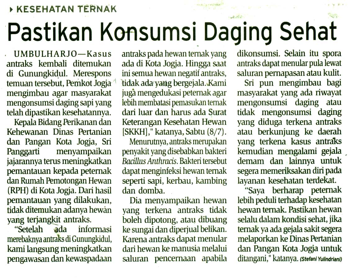 Kliping jogja terbaru