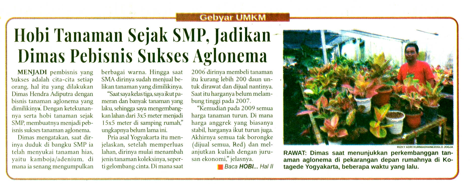 Kliping jogja terbaru