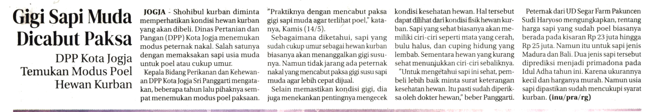 Kliping jogja terbaru